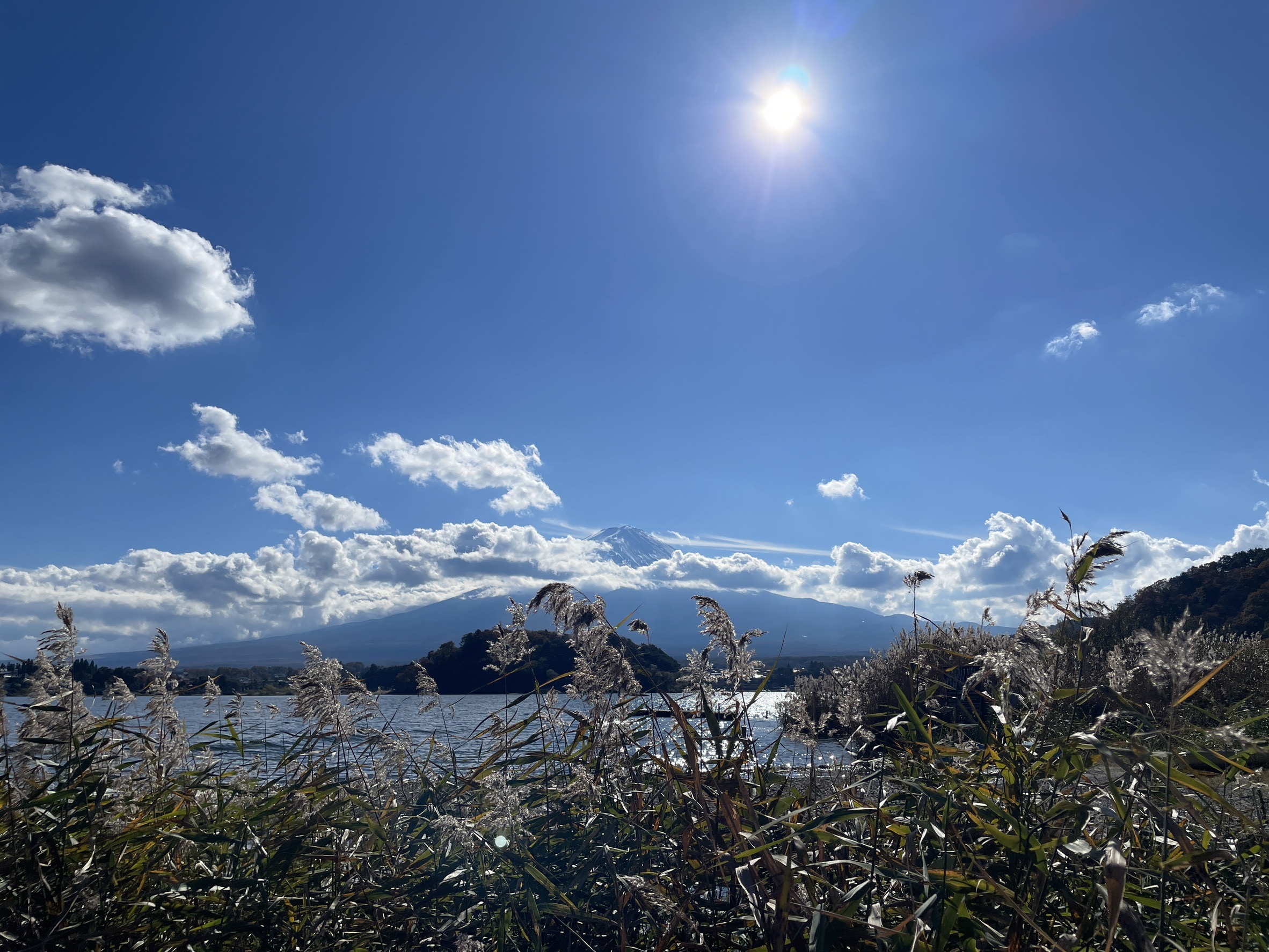 【日本旅遊】2025河口湖一日遊推薦，kkday富士山一日遊景點行程美食全攻略